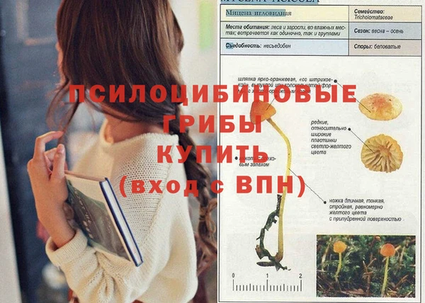 твердый Белоозёрский