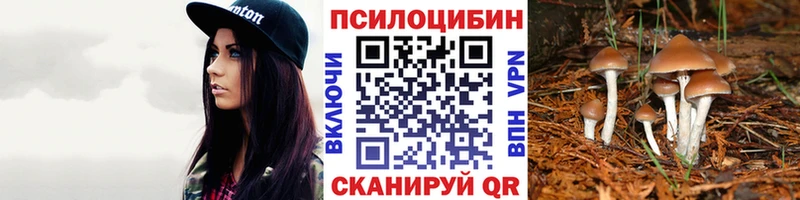 Галлюциногенные грибы Psilocybe  Шагонар 